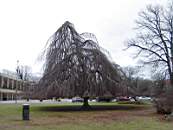 Idag 2004-02-08 031.jpg